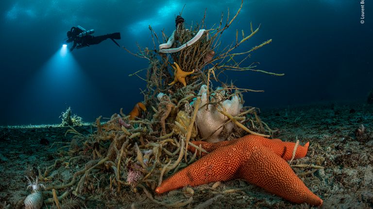 &#39;Under Antarctic ice&#39; by Laurent Ballesta, France - Winner, Portfolio Award