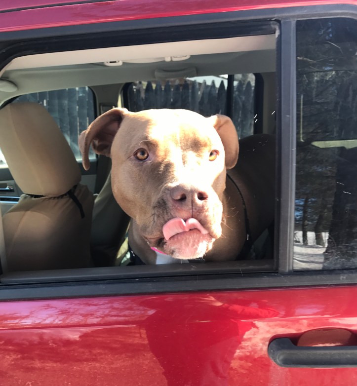 fred in car