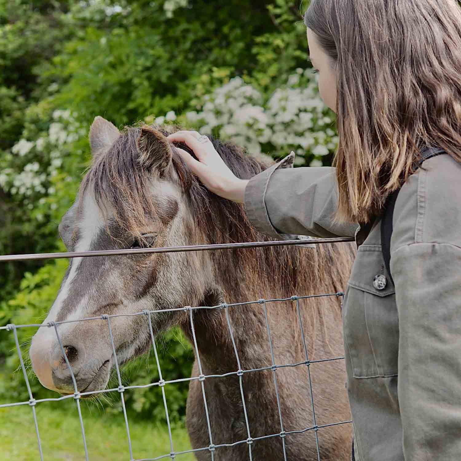 Woman caring for a horse.