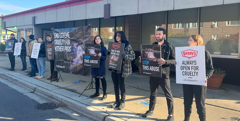 Denny's Protest in Chicago 