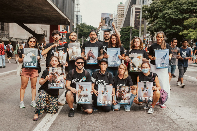 animal rights day in Brazil