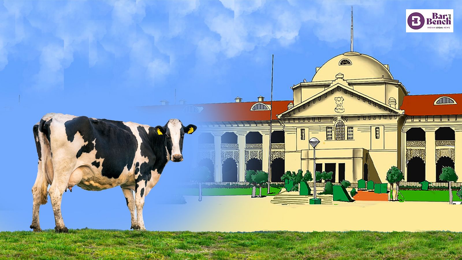 Allahabad High Court, Cow