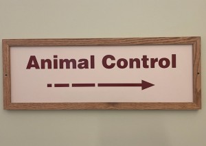 Animal Control