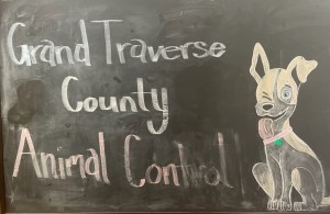 Gt Animal Control Board