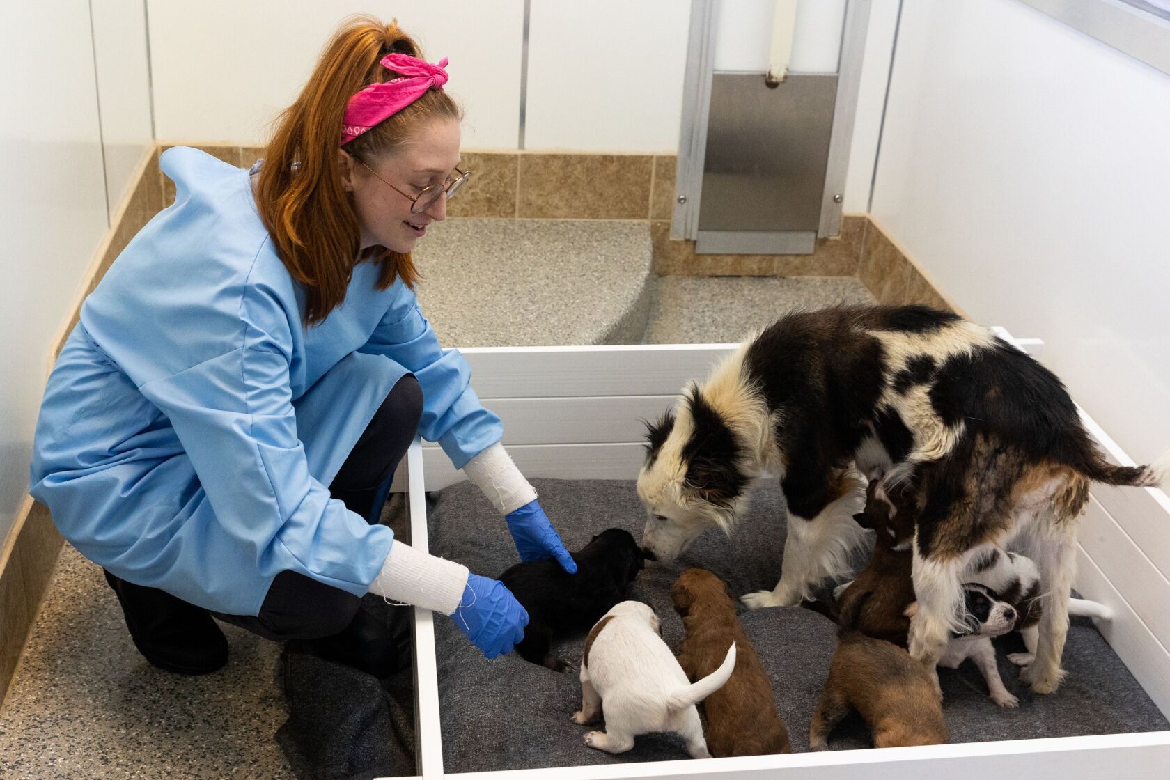 Landon Schobert, caregiver in Puppy Admissions, checks on some puppies at Best Friends Animal Sanctuary in Kanab on Thursday, July 27, 2023.