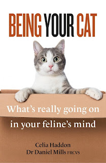 The cover of the book Being Your Cat