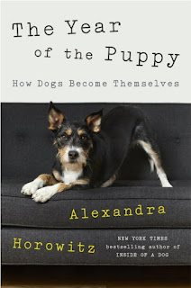 The cover of the book The Year of the Puppy features a photo of the puppy, Quid, on the sofa, looking seriously at the camera