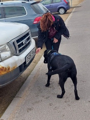 Izzy Swanston and her dog taking part in canine scent work