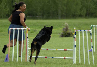 Ayoka Bubar, dog trainer, competing in agility and running beside her dog who is jumping over the barrier