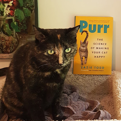 Melina the cat at the top of her cat tree with a copy of Purr