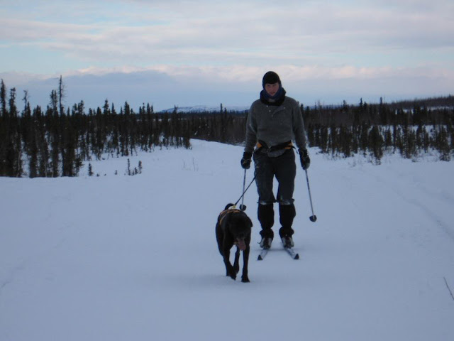 Kristi Benson skiing with her dog Grace against a backdrop of snow and trees