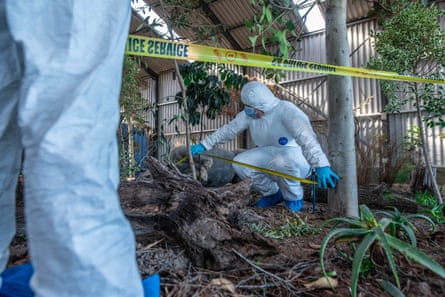 Students document evidence at a fake wildlife crime scene at the academy.