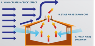 movement of air in the shed