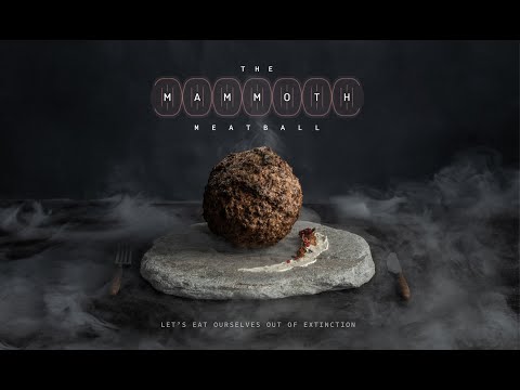 Introducing the Mammoth Meatball | The world's first meat made out of the extinct Woolly Mammoth