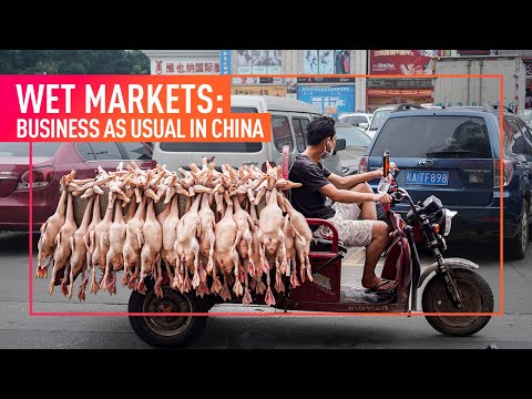 INVESTIGATION: Animal Equality Reveals China's Wet Markets Continue to Operate