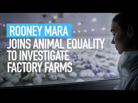 Rooney Mara Joins Animal Equality to Investigate Factory Farms - With My Own Eyes