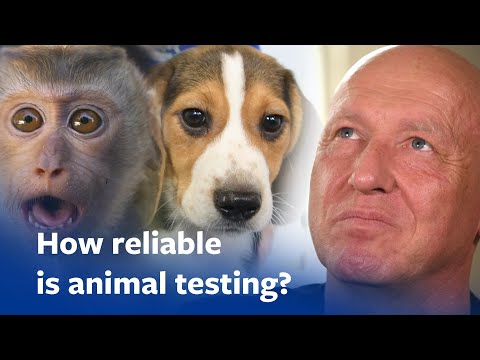 Is animal testing reliable? Johns Hopkins professor answers