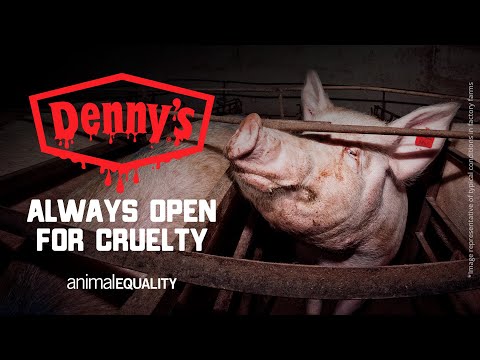 DENNY'S IS ALLOWING EXTREME CRUELTY FOR MOTHER PIGS