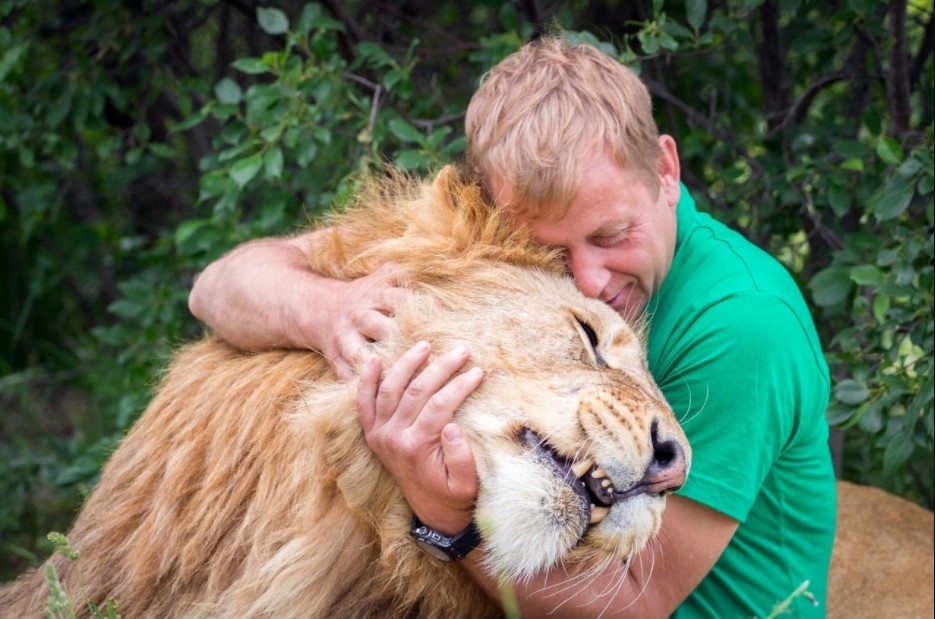 lion as a pet,
lion pet,
pet lion,
lion for pet,
lion cat,
cat and lion,
pet lion for sale,
lion kitten,
dogs and lions,
dog with lion,
puppy lions,