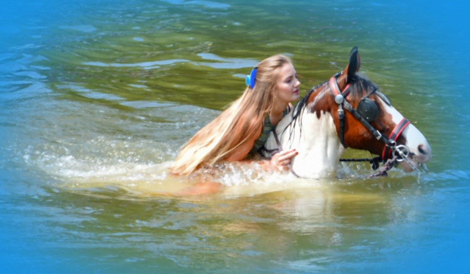 Can Horses Swim