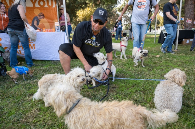 Al Valenzuela rounds up his rescue dogs at a dog...