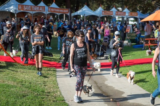 Participants start their dog walk at the “Strut Your Mutt”...