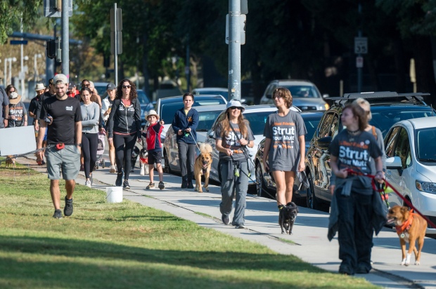 Participants walk dogs at the “Strut Your Mutt” fundraiser for...