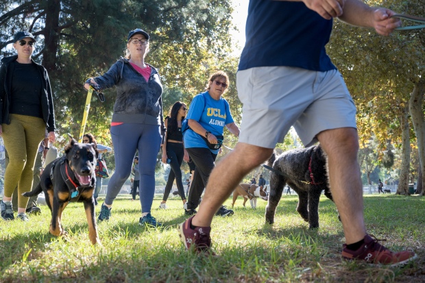 Participants walk dogs at the “Strut Your Mutt” fundraiser for...