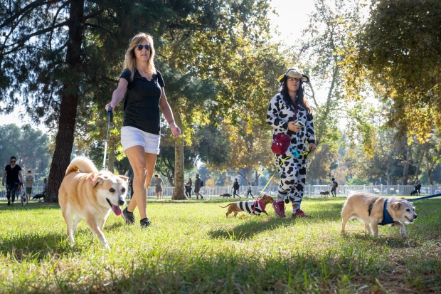 Participants walk dogs at the “Strut Your Mutt” fundraiser for...