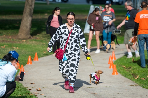 Jackie Hernandez walks her dog “Lilo” at a dog walk...