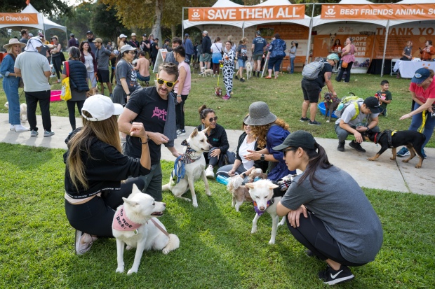 People and dogs gather at a dog walk “Strut Your...