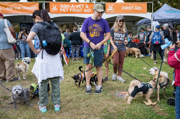 People and dogs gather at a dog walk “Strut Your...