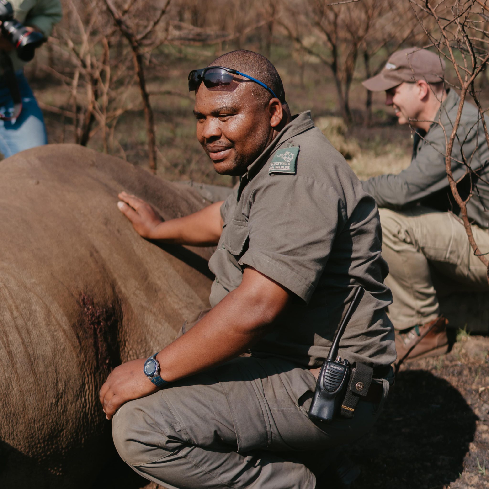 Black Rhino Released onto Babanango Game Reserve