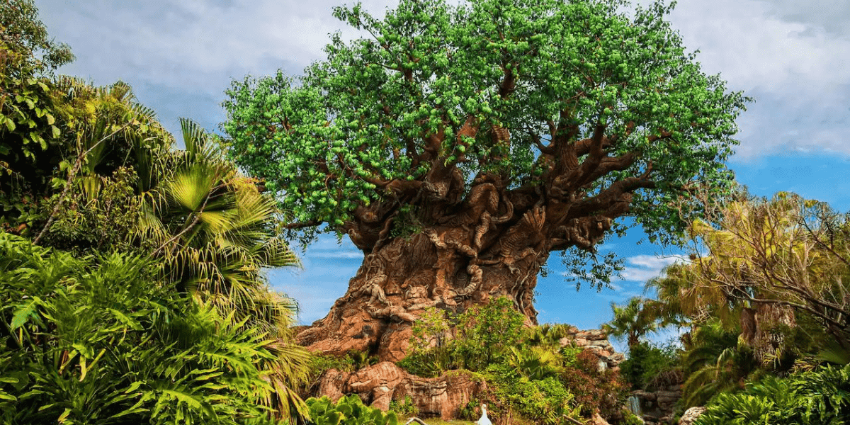 Tree of life at Disney's Animal Kingdom Park in Walt Disney World Resort