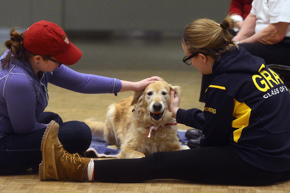 Georgian College hosting Therapeutic Animal Conference