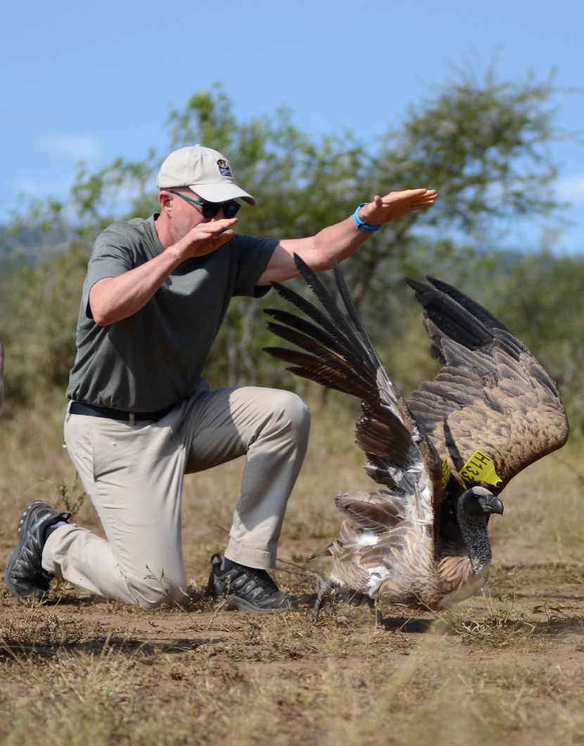 Vulture Conservation in Zululand - Behind the Scenes