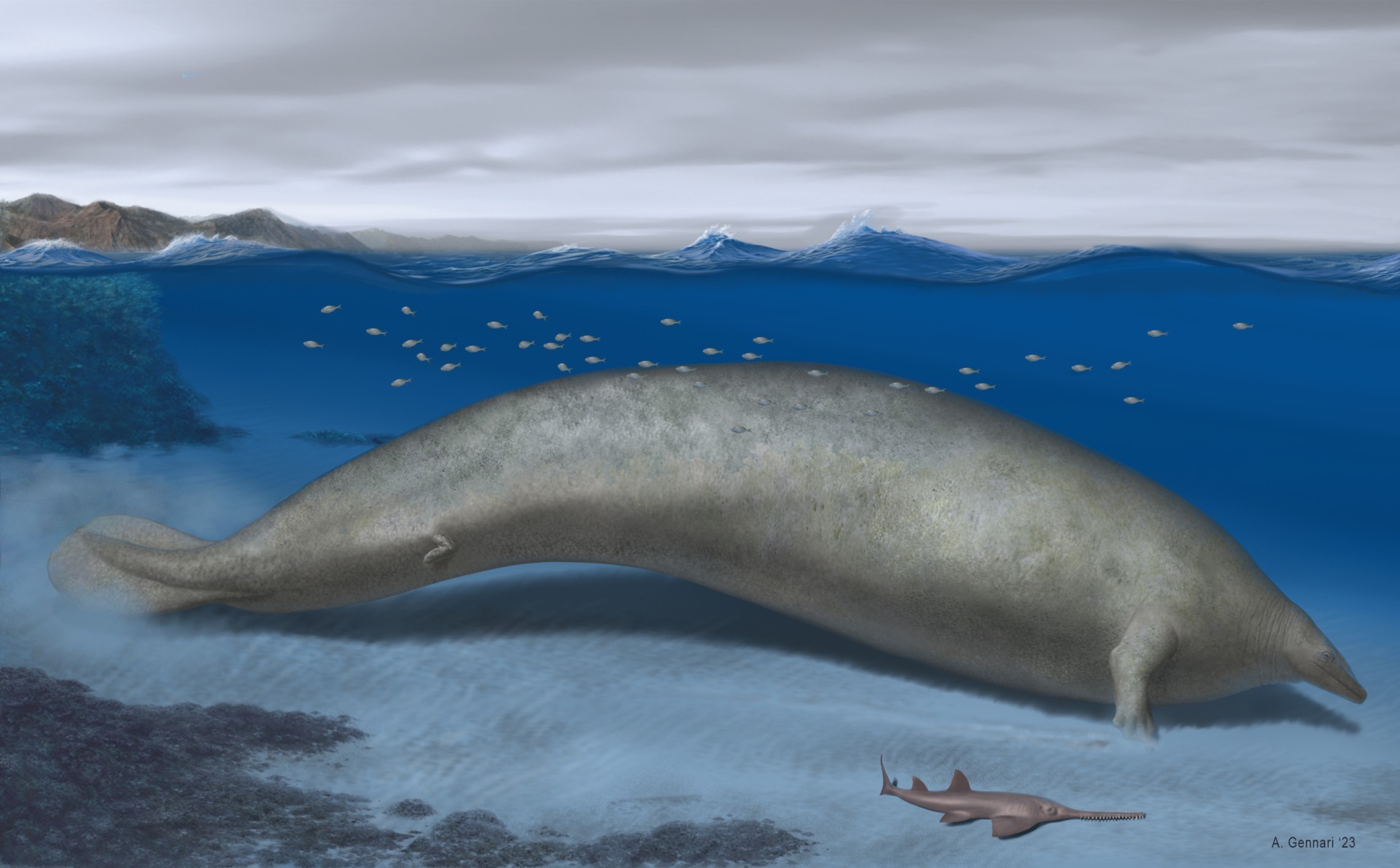 An artist's reconstruction of Perucetus colossus in its coastal shallow-water habitat.