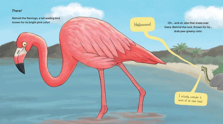 Flamingos Are Pretty Funky: Funny Books about Flamingos