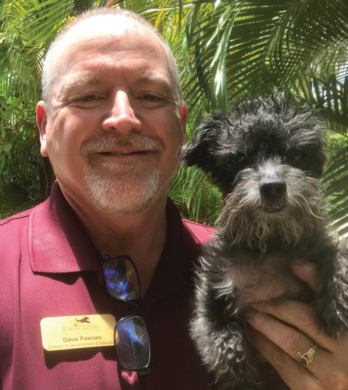 Dave Feenan drove 50 cats from Lakeland to Naples, to clear space for Ian refugees. His adopted dog, Mylo, didn’t care, since he didn’t have to fly to Cleveland with the cats.