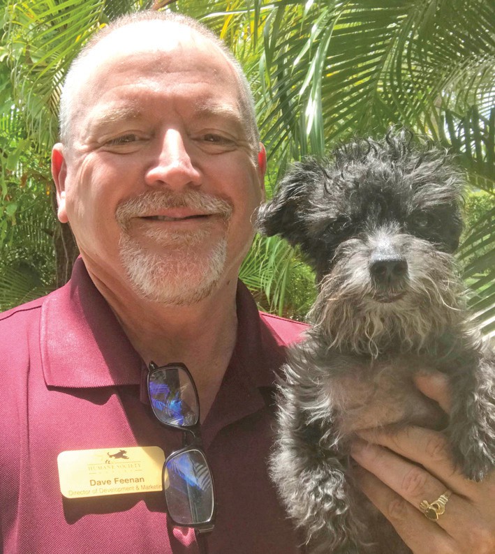 Dave Feenan drove 50 cats from Lakeland to Naples, to clear space for Ian refugees. His adopted dog, Mylo, didn’t care, since he didn’t have to fly to Cleveland with the cats.