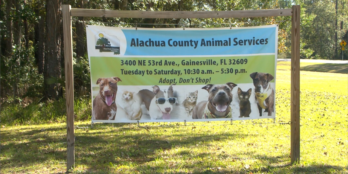 Alachua County Animal Welfare Advisory Committee set to finally meet
