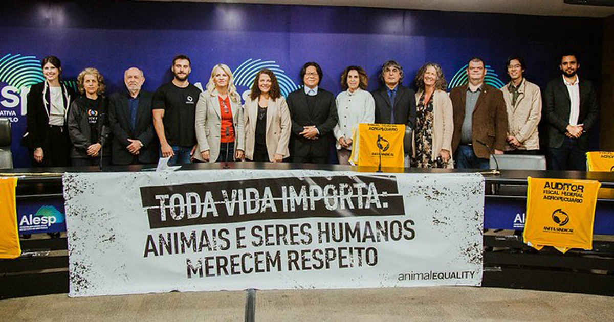 Animal Equality, Brazil Holds Public Hearing Against Inhumane Law