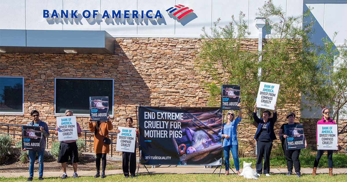 Animal Equality Protests Bank of America’s Partnership with Compass Group Cruelty