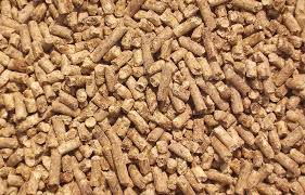 Animal Feeds Additives Market Size Worth USD 53.7 Bn by 2032 Growing at a CAGR of 4.6%