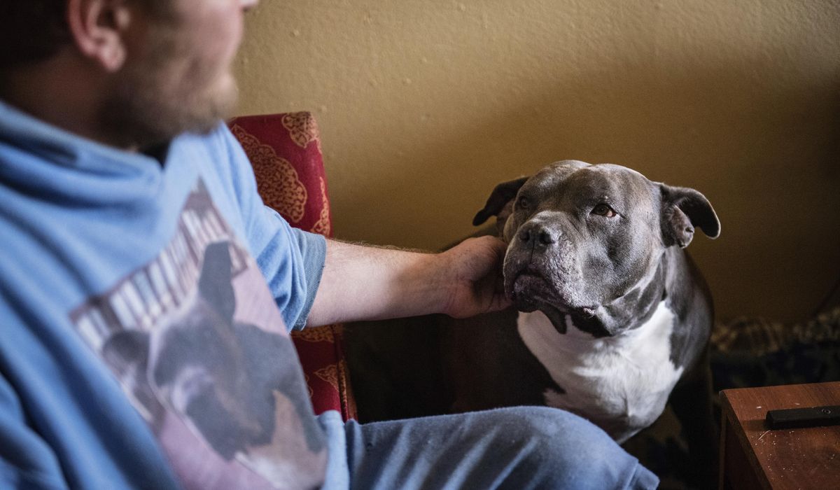 Animal shelters overwhelmed as inflation drives Americans to give up their pets