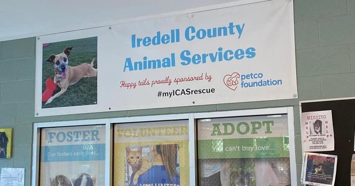 Changes to Iredell County Animal Services ordinance raise questions