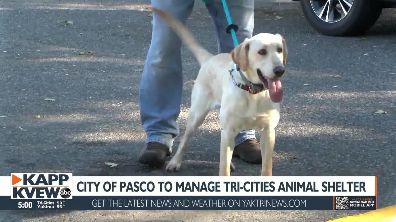 City of Pasco takes over animal shelter and control, searches for permanent manager