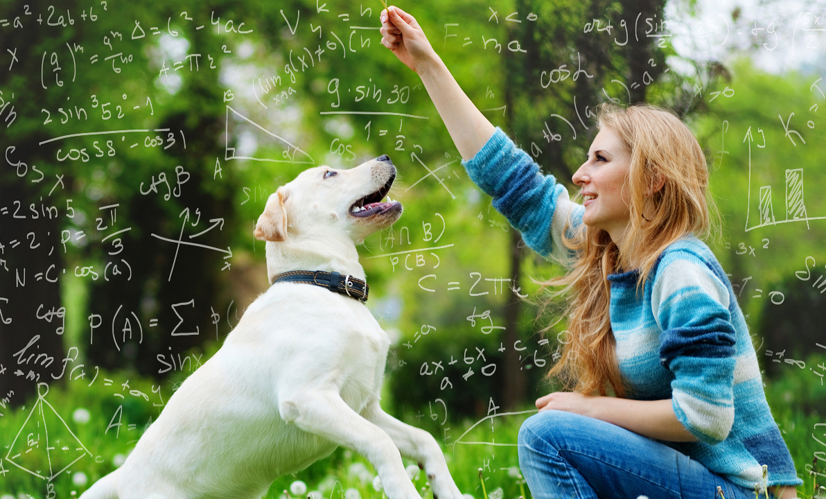 FREE SEMINAR: Science-Based Dog Training (with Feeling)