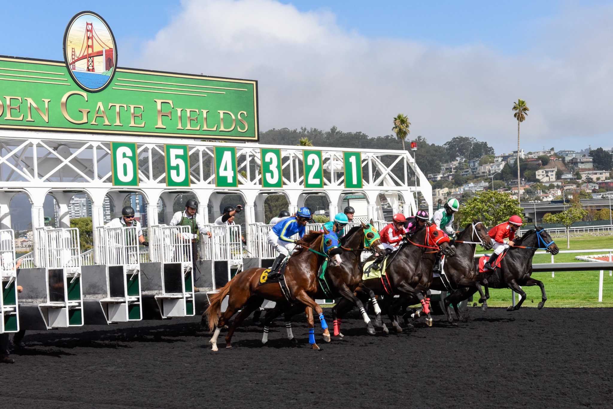 Golden Gate Fields owners can sue animal-rights group that disrupted races, state Supreme Court says