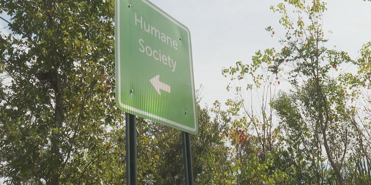 Humane Society of Bay County Animal Shelter remains closed after two years